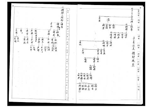 [未知]子员公支标财世系家谱 (中国) 子员公支标财世系家谱_一.pdf