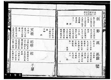 [杨]杨氏大成谱 (中国) 杨氏大成谱.pdf