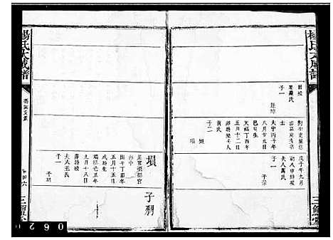 [杨]杨氏大成谱 (中国) 杨氏大成谱.pdf