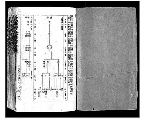 [曾]武城曾氏重修族谱 (福建) 武城曾氏重修家谱_四.pdf