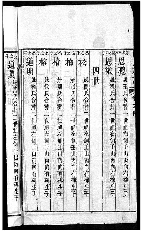 [陈]陈氏族谱 (福建) 陈氏家谱_三.pdf