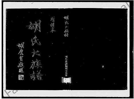 [胡]胡氏大族谱 (福建) 胡氏大家谱_一.pdf