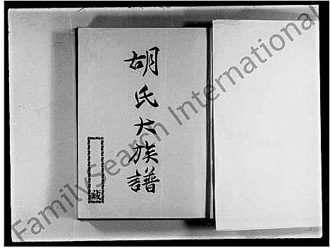 [胡]胡氏大族谱 (福建) 胡氏大家谱_一.pdf