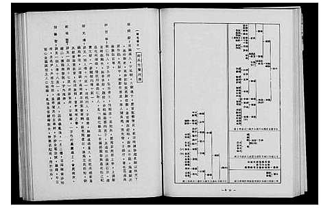 [胡]胡氏大族谱 (福建) 胡氏大家谱_二.pdf