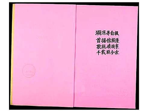 [黄]南安石井东安下黄氏族谱 (福建) 南安石井东安下黄氏家谱.pdf