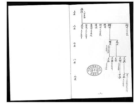 [黄]同安房金柄纶公派下支分文斗安聚公_字驰复_分布支图简录 (福建) 同安房金柄纶公派.pdf