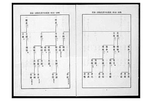 [黄]桃园洑西田中黄氏族谱 (福建) 桃园洑西田中黄氏家谱_二.pdf