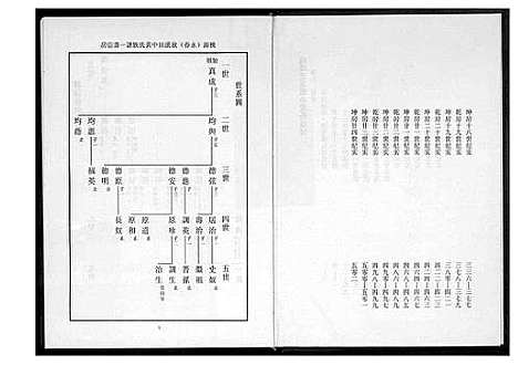 [黄]桃园洑西田中黄氏族谱 (福建) 桃园洑西田中黄氏家谱_五.pdf