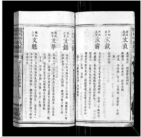 [李]陇西李氏族谱_27卷首1卷 (福建) 陇西李氏家谱_十九.pdf