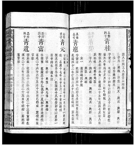 [李]陇西李氏族谱_27卷首1卷 (福建) 陇西李氏家谱_二十二.pdf