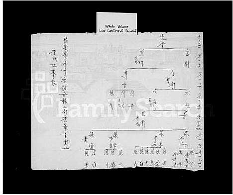 [李]李世世系表 (福建) 李世世系表.pdf