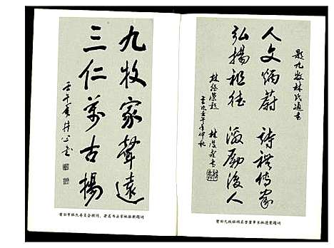 [林]九牧林氏 (福建) 九牧林氏.pdf