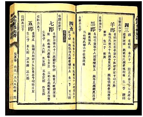 [林]林氏重修族谱 (福建) 林氏重修家谱_二.pdf