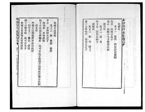 [林]桃源遐龄林氏族谱 (福建) 桃源遐龄林氏家谱_十.pdf