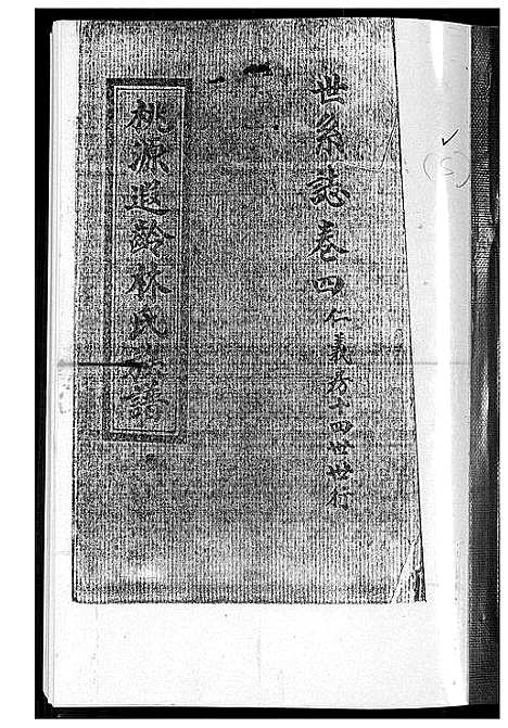 [林]桃源遐龄林氏族谱 (福建) 桃源遐龄林氏家谱_十二.pdf