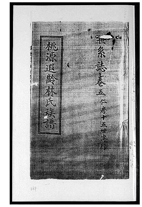 [林]桃源遐龄林氏族谱 (福建) 桃源遐龄林氏家谱_十三.pdf