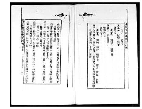 [林]桃源遐龄林氏族谱 (福建) 桃源遐龄林氏家谱_十三.pdf