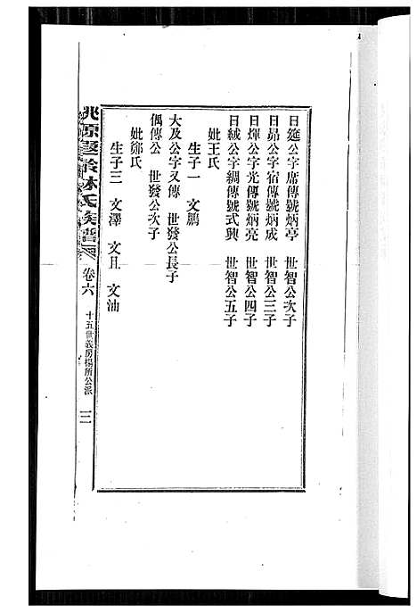 [林]桃源遐龄林氏族谱 (福建) 桃源遐龄林氏家谱_十四.pdf