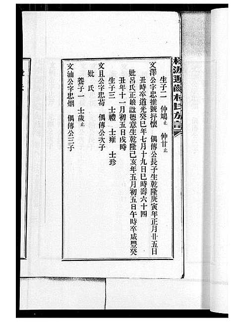 [林]桃源遐龄林氏族谱 (福建) 桃源遐龄林氏家谱_十六.pdf