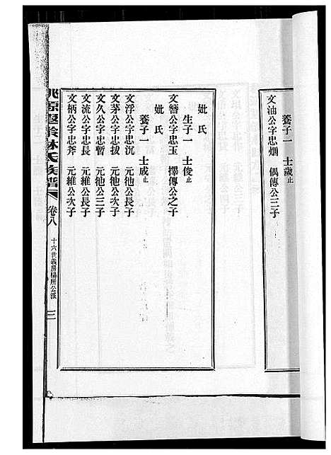 [林]桃源遐龄林氏族谱 (福建) 桃源遐龄林氏家谱_十六.pdf