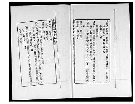 [林]桃源遐龄林氏族谱 (福建) 桃源遐龄林氏家谱_十七.pdf