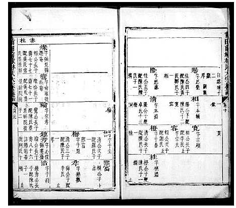 [林]莆田前埭林氏族谱_莆田前棣林氏九牧大宗族谱 (福建) 莆田前埭林氏家谱_二.pdf