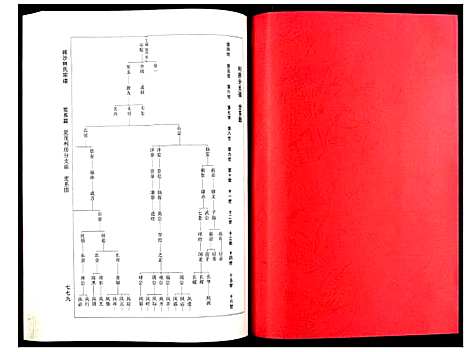 [林]闽沙林氏宗谱 (福建) 闽沙林氏家谱_三.pdf