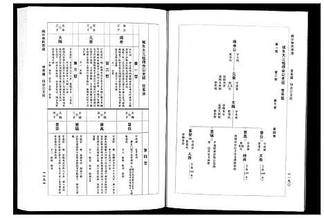 [林]闽沙林氏宗谱_5卷 (福建) 闽沙林氏家谱_四.pdf