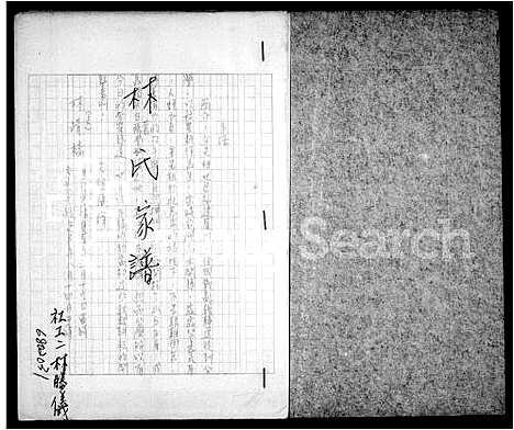 [林]林氏家谱 (福建) 林氏家谱_一.pdf