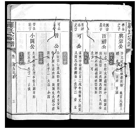 [罗]罗氏宗谱_9卷首1卷 (福建) 罗氏家谱_八.pdf