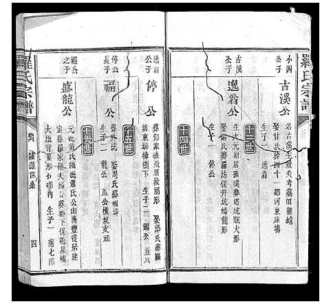 [罗]罗氏宗谱_9卷首1卷 (福建) 罗氏家谱_八.pdf