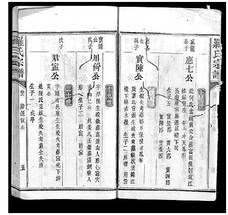 [罗]罗氏宗谱_9卷首1卷 (福建) 罗氏家谱_八.pdf