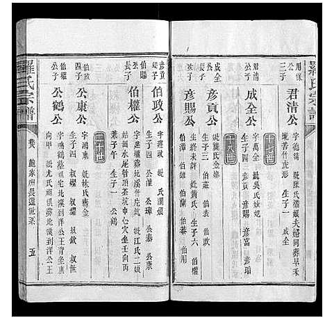 [罗]罗氏宗谱_9卷首1卷 (福建) 罗氏家谱_九.pdf