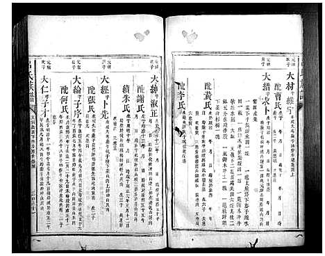 [吕]吕氏族谱 (福建) 吕氏家谱_三.pdf