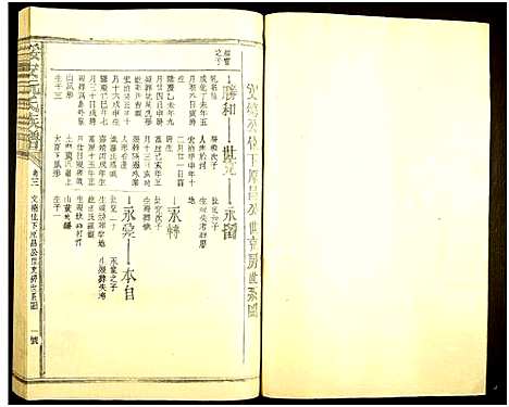 [阮]绥安阮氏族谱_Sui An Ruan Shi_阮氏八修族谱 (福建) 绥安阮氏家谱_六.pdf