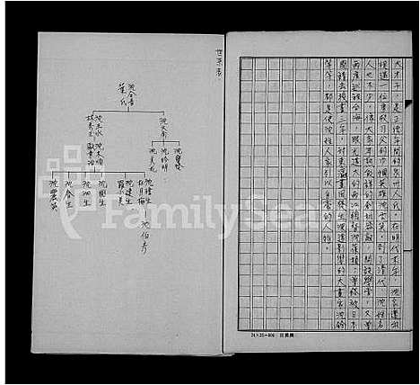 [沈]沈氏家谱 (福建) 沈氏家谱.pdf