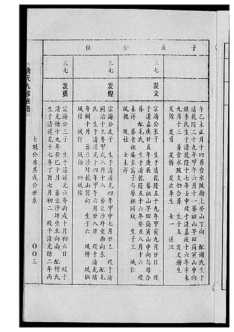 [唐]唐氏九修族谱 (福建) 唐氏九修家谱_十七.pdf