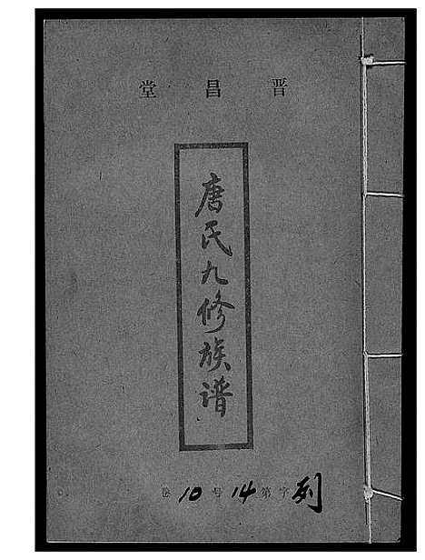 [唐]唐氏九修族谱 (福建) 唐氏九修家谱_十九.pdf