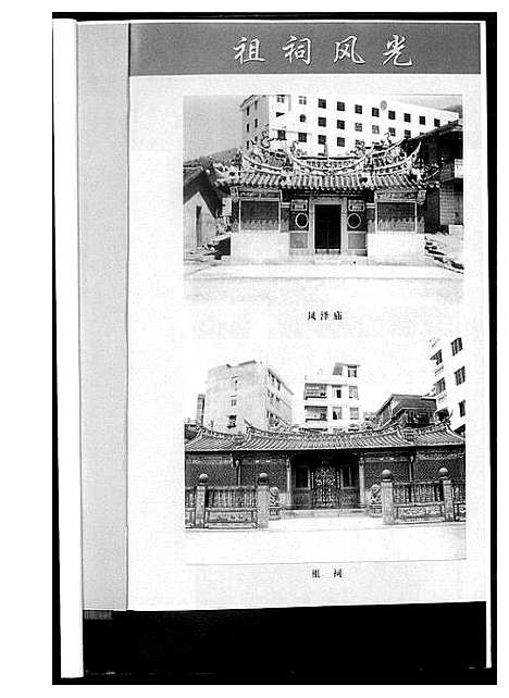 [王]上场王氏族谱 (福建) 上场王氏家谱_一.pdf