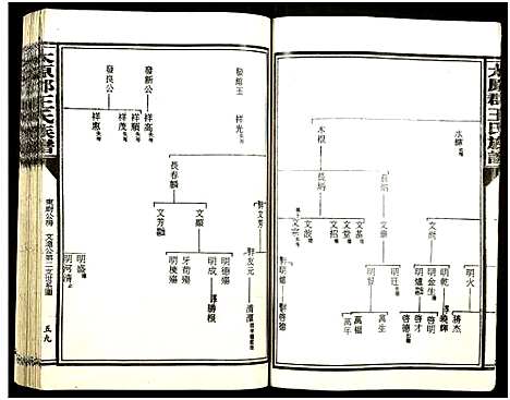 [王]太原郡王氏族谱_13册-Tai Yuan Jun Wang Shi (福建) 太原郡王氏家谱_二.pdf