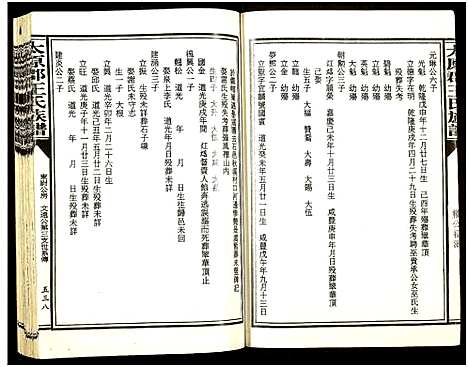 [王]太原郡王氏族谱_13册-Tai Yuan Jun Wang Shi (福建) 太原郡王氏家谱_八.pdf