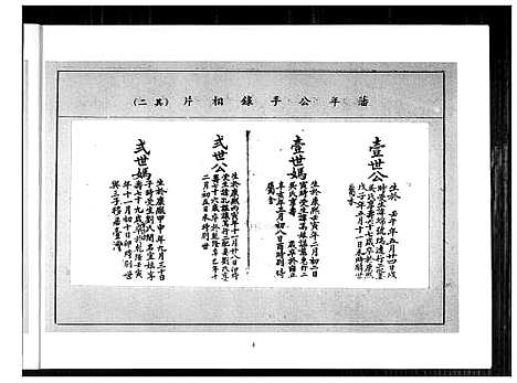 [王]王姓谱系 (福建) 王姓谱_一.pdf