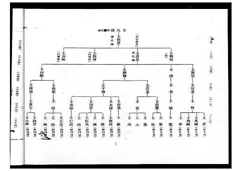 [王]王氏_巡忠公派下族谱 (福建) 王氏巡忠公派下家谱_一.pdf