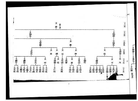 [王]王氏_巡忠公派下族谱 (福建) 王氏巡忠公派下家谱_一.pdf