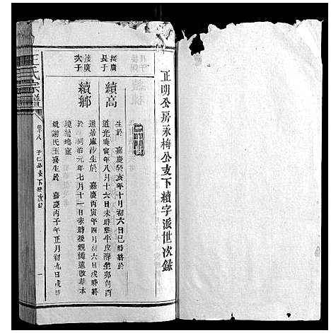 [王]王氏宗谱_23卷首1卷 (福建) 王氏家谱_十二.pdf