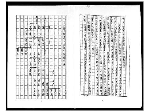 [王]王氏家谱 (福建) 王氏家谱_一.pdf