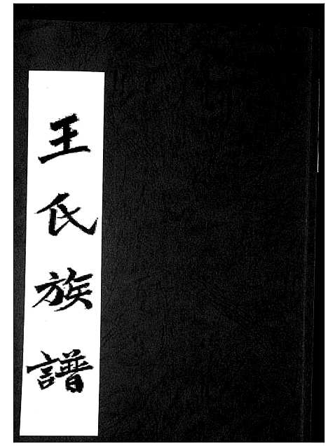 [王]王氏族谱 (福建) 王氏家谱_一.pdf