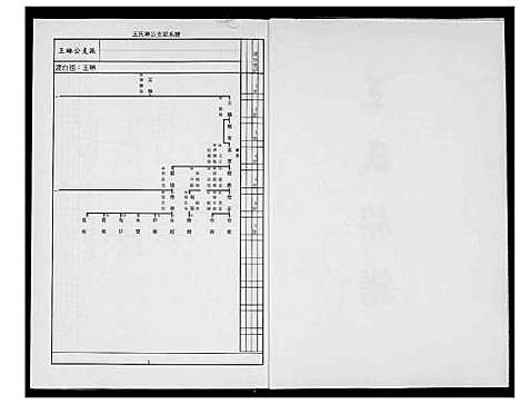 [王]王氏族谱 (福建) 王氏家谱_一.pdf