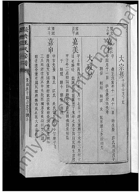 [王]绥安王氏宗谱_不分卷 (福建) 绥安王氏家谱_三.pdf