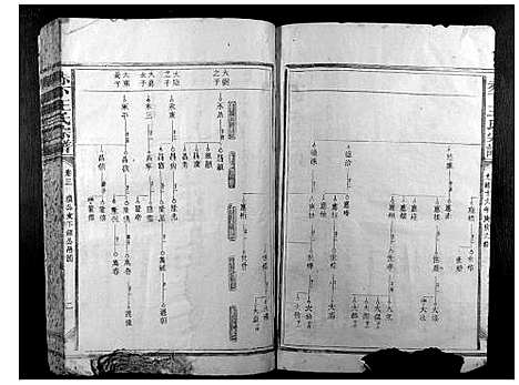 [王]赤下王氏宗谱 (福建) 赤下王氏家谱.pdf